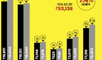 Indian Advertising Market in 2016 and 2017