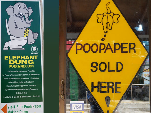 Elephant poopaper