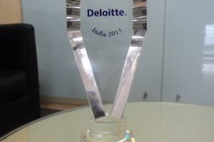 Deloitte Fast 50 India 2013